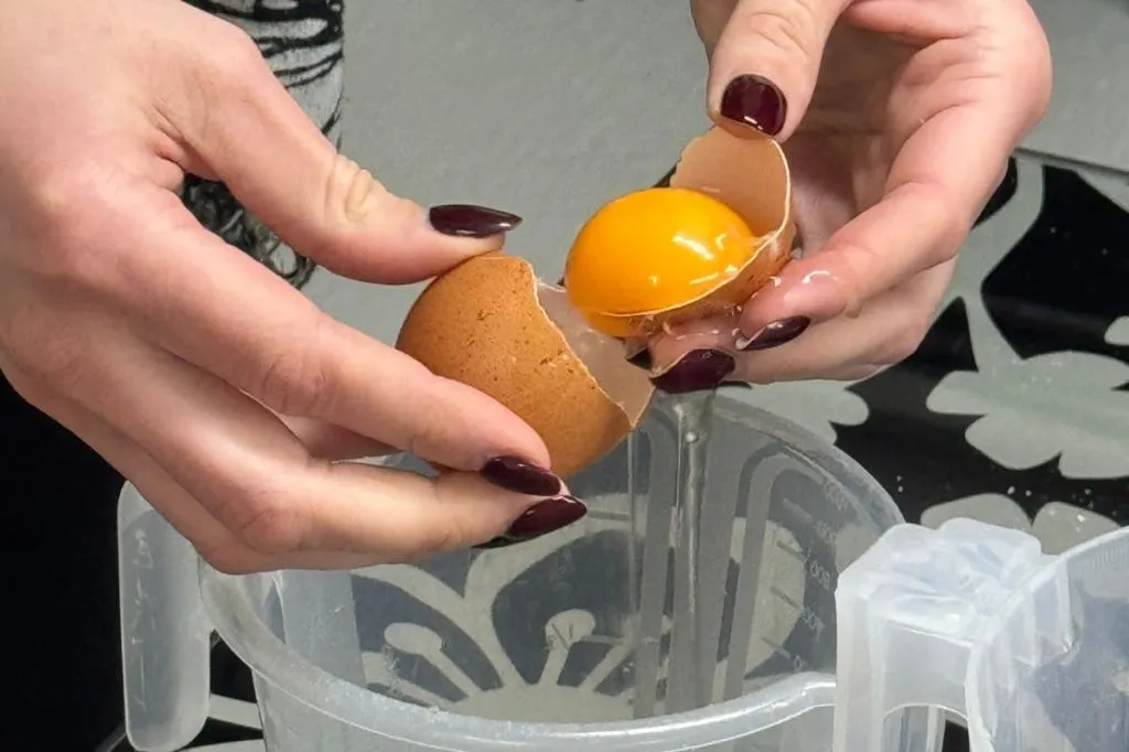 Porto: Aula de Culinária de Pastel de Nata na Rua Antero de Quental + Petiscos e Vinho