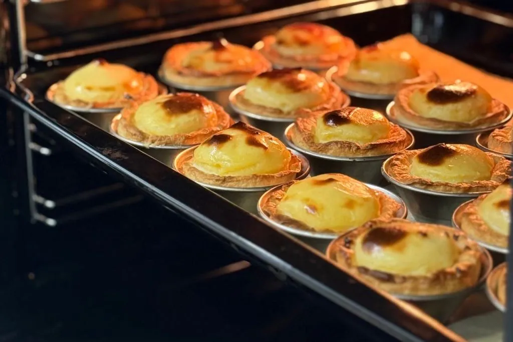 Porto: Aula de Culinária de Pastel de Nata na Rua Antero de Quental + Petiscos e Vinho