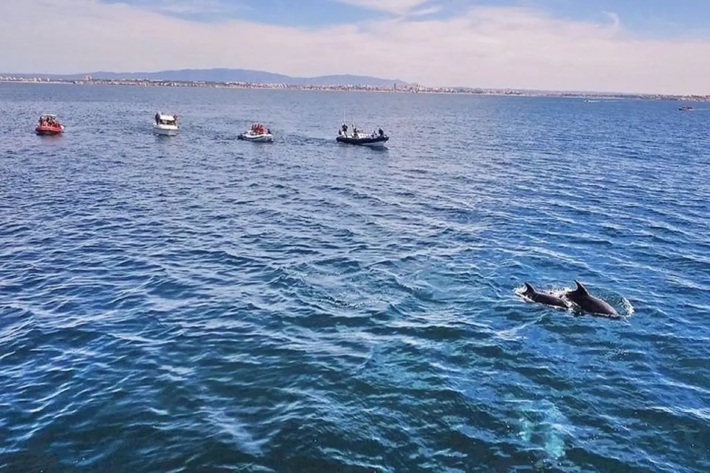 Excursions en bateau à partir de Portimao