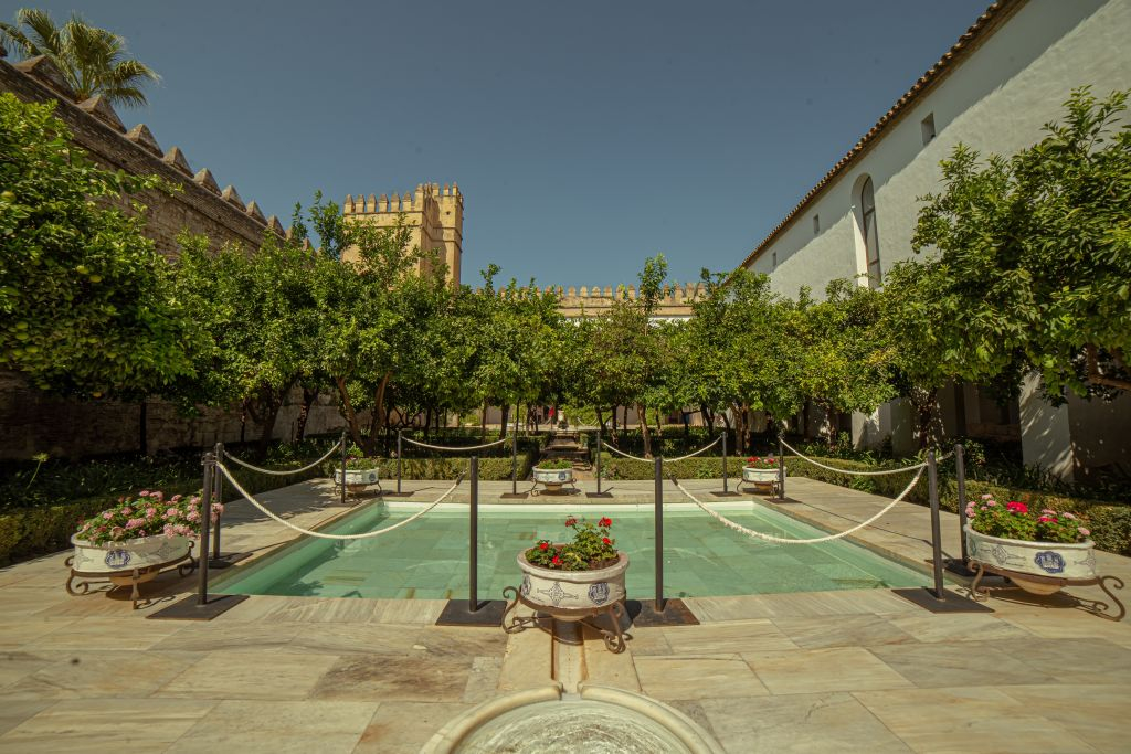 Guided Córdoba Highlights Walking Tour