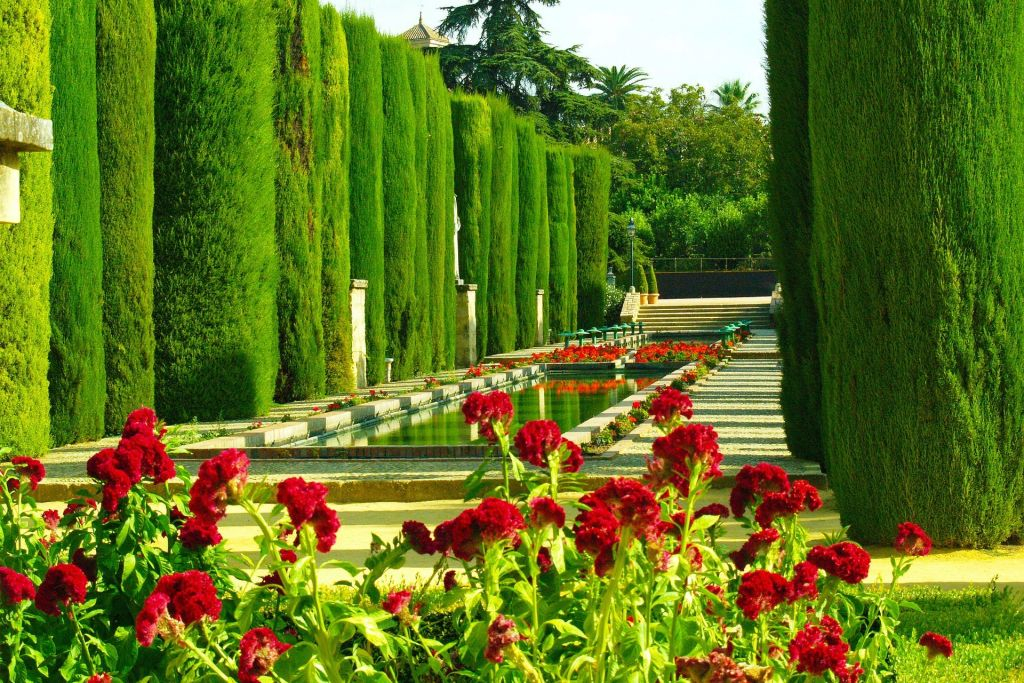 Guided Córdoba Highlights Walking Tour