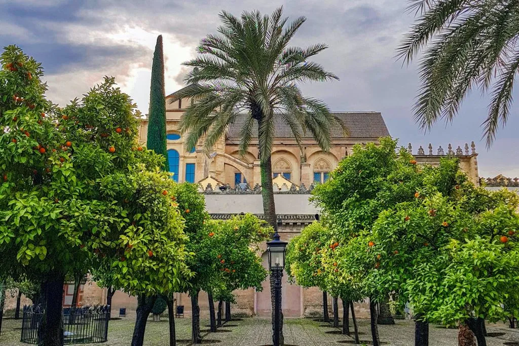 Guided Córdoba Highlights Walking Tour