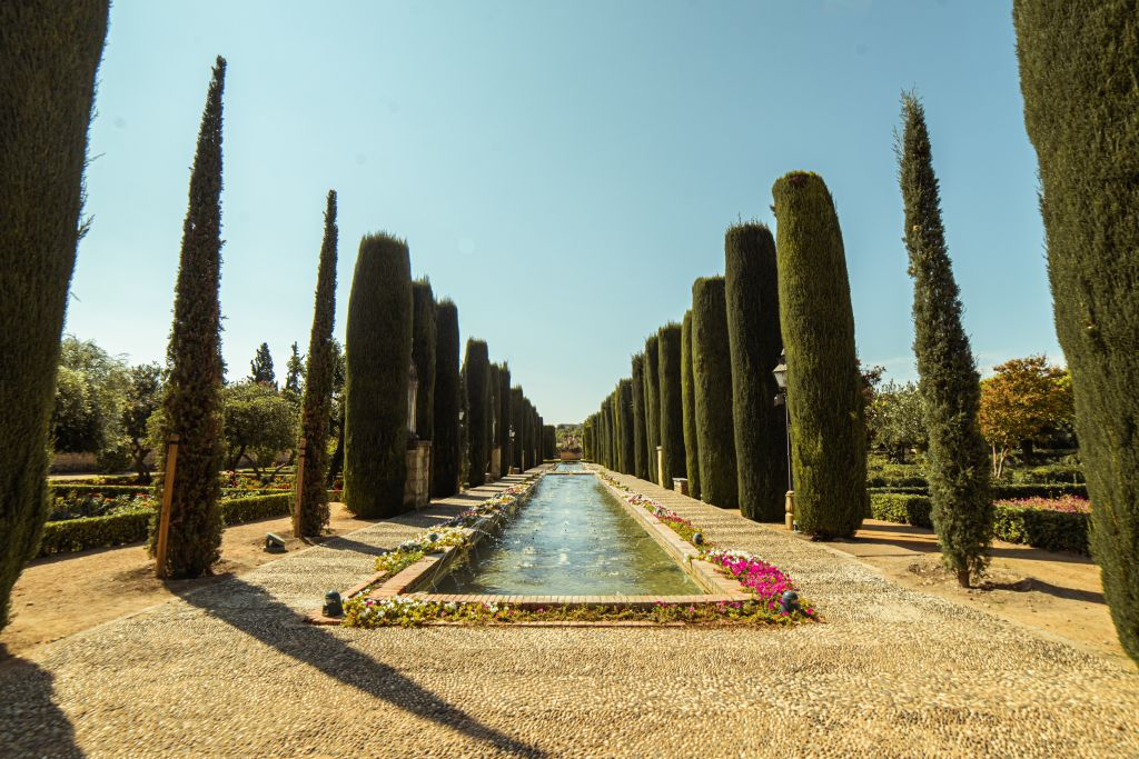 Guided Córdoba Highlights Walking Tour