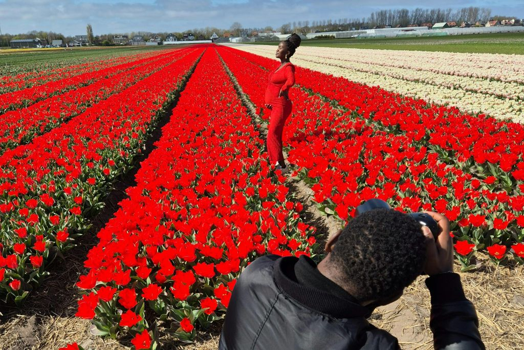 Lisse: Visita Privada en Bicicleta a los Campos de Tulipanes + Bebidas
