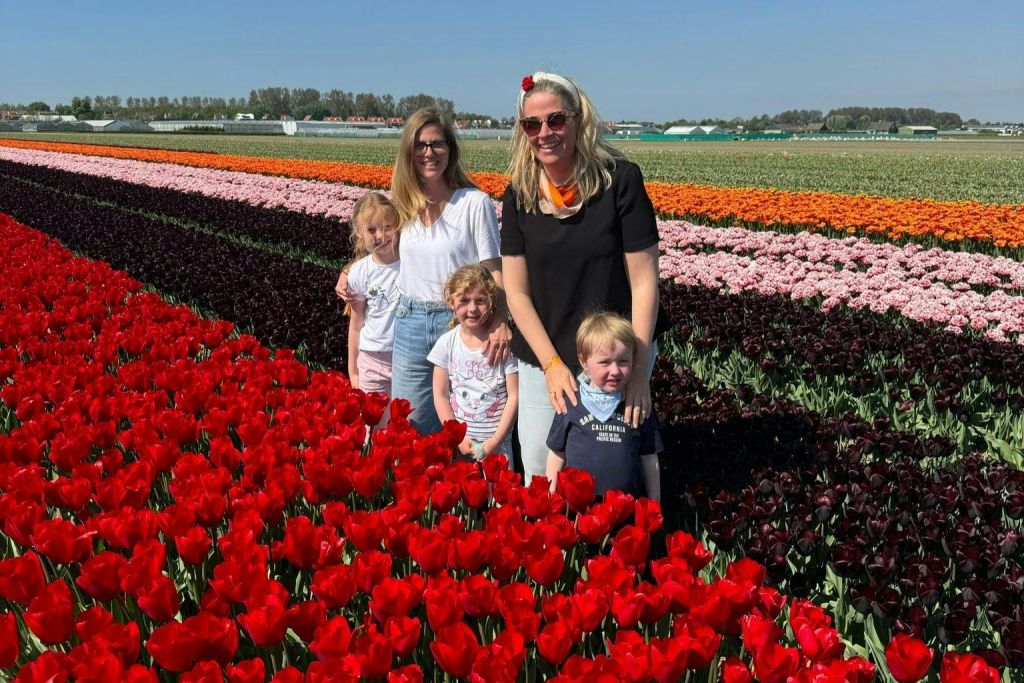 Lisse: Visita Privada en Bicicleta a los Campos de Tulipanes + Bebidas