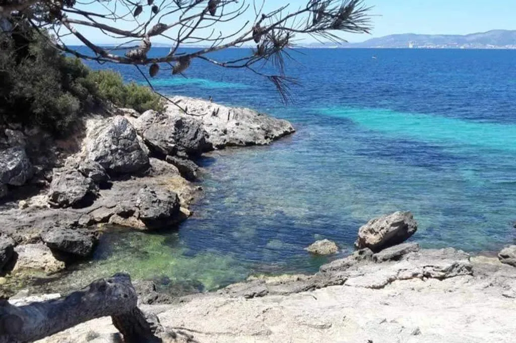 Mallorca: Guided Quad Bike Tour + Snorkeling + Cliff Jumping
