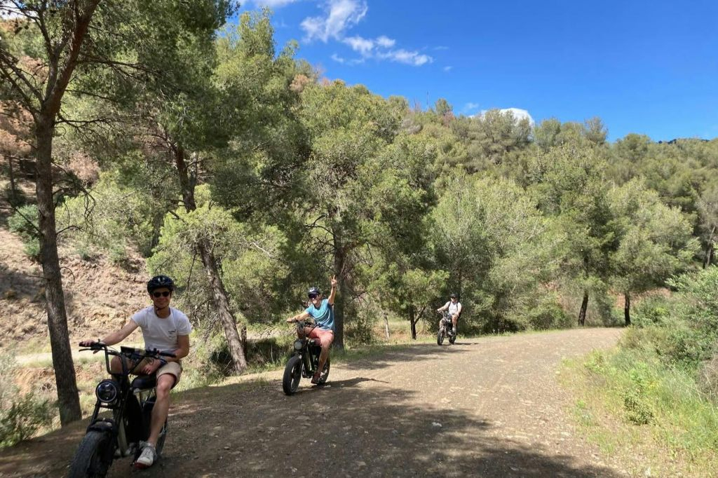 Málaga: 10 horas de alquiler de bicicletas E-Fat