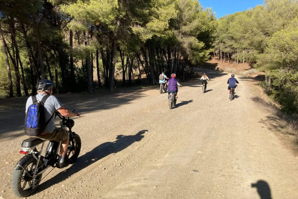 Málaga: Alquiler de bicicletas E-Fat de 4 horas
