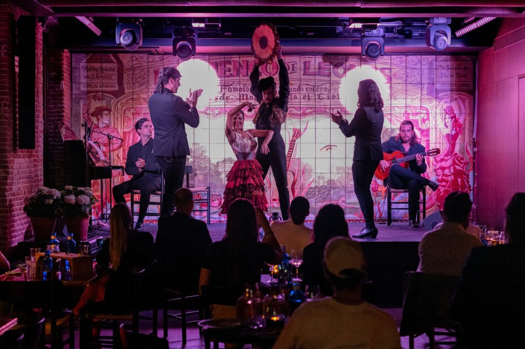 Madrid: Espetáculo de Flamenco em Flamenco de Leones + Jantar