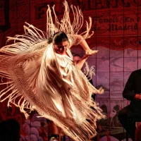 Madrid: Flamenco Show at Flamenco de Leones with a Drink