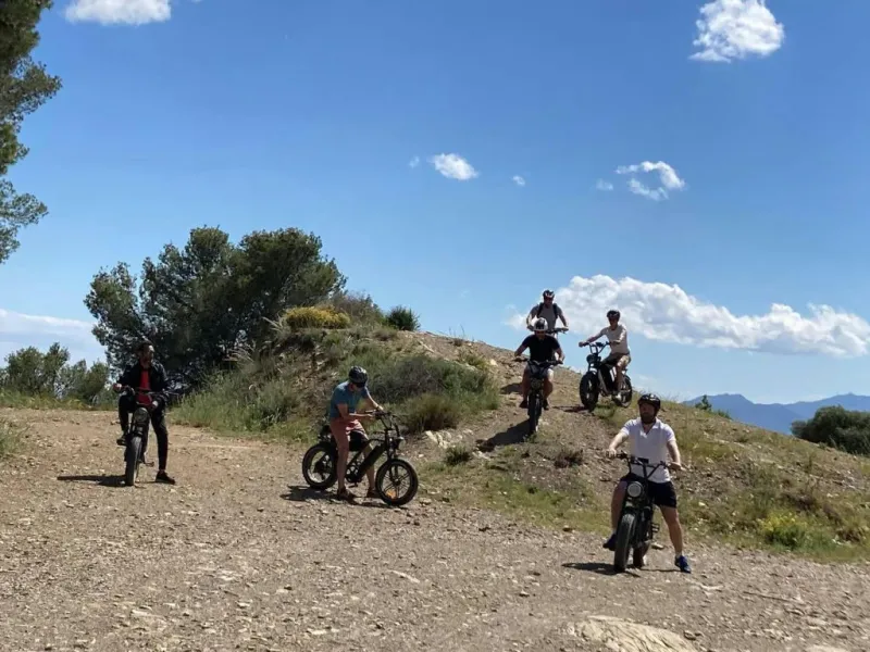 Montes de Málaga: Recorrido guiado en E-bike