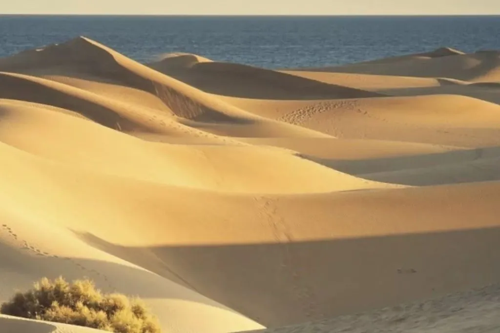 Fuerteventura: Visita guiada + Traslado + Comida