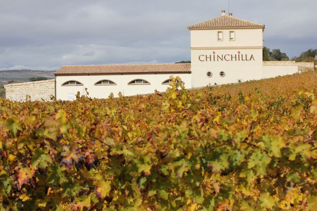 Bodega Doña Felisa: Guided Tour & Wine Tasting or Lunch