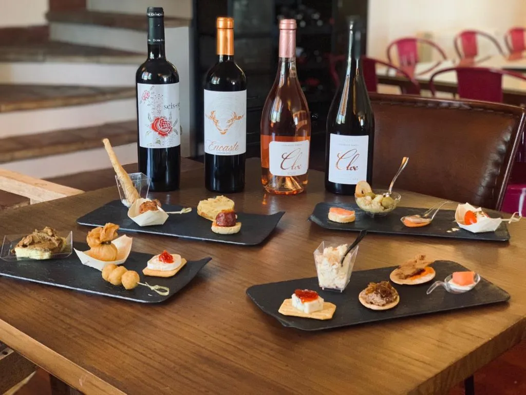 Bodega Doña Felisa: Guided Tour & Wine Tasting or Lunch