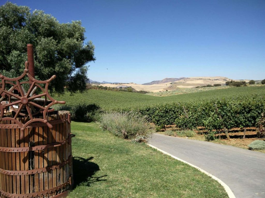 Bodega Doña Felisa: Guided Tour & Wine Tasting or Lunch