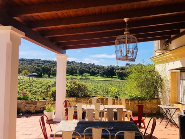 Bodega Doña Felisa: Tour Guidato e Degustazione di Vino o Pranzo