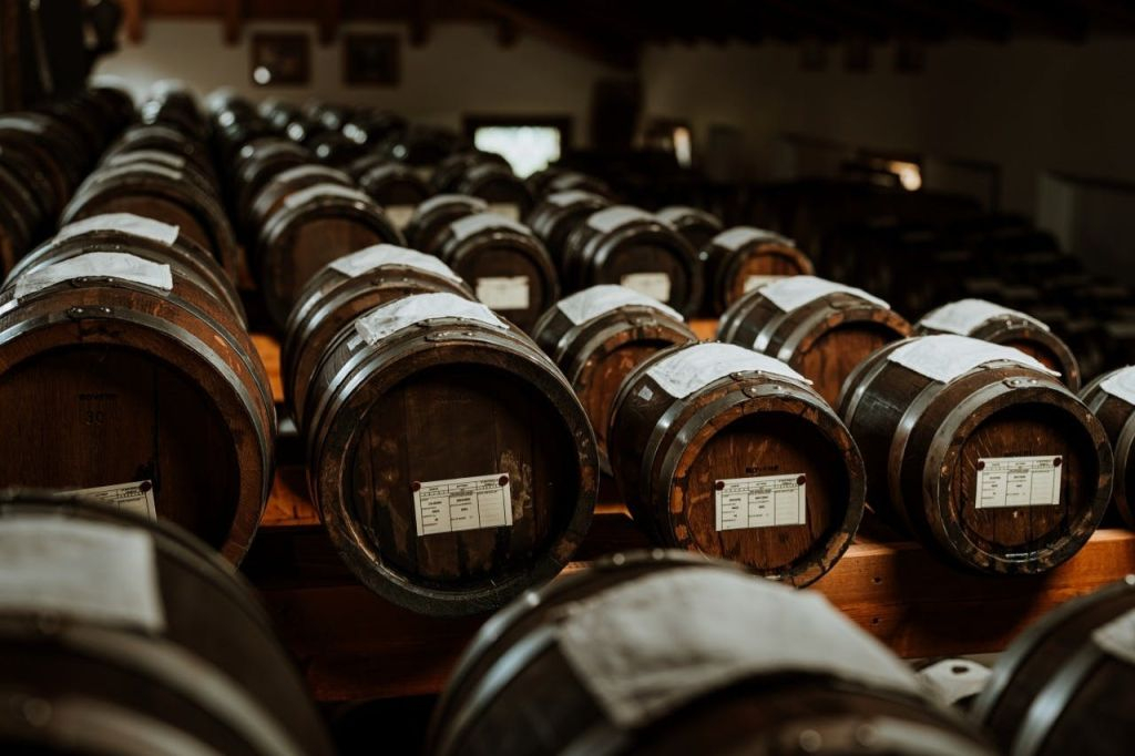 Modena: Tour guidato + Degustazione di aceto balsamico