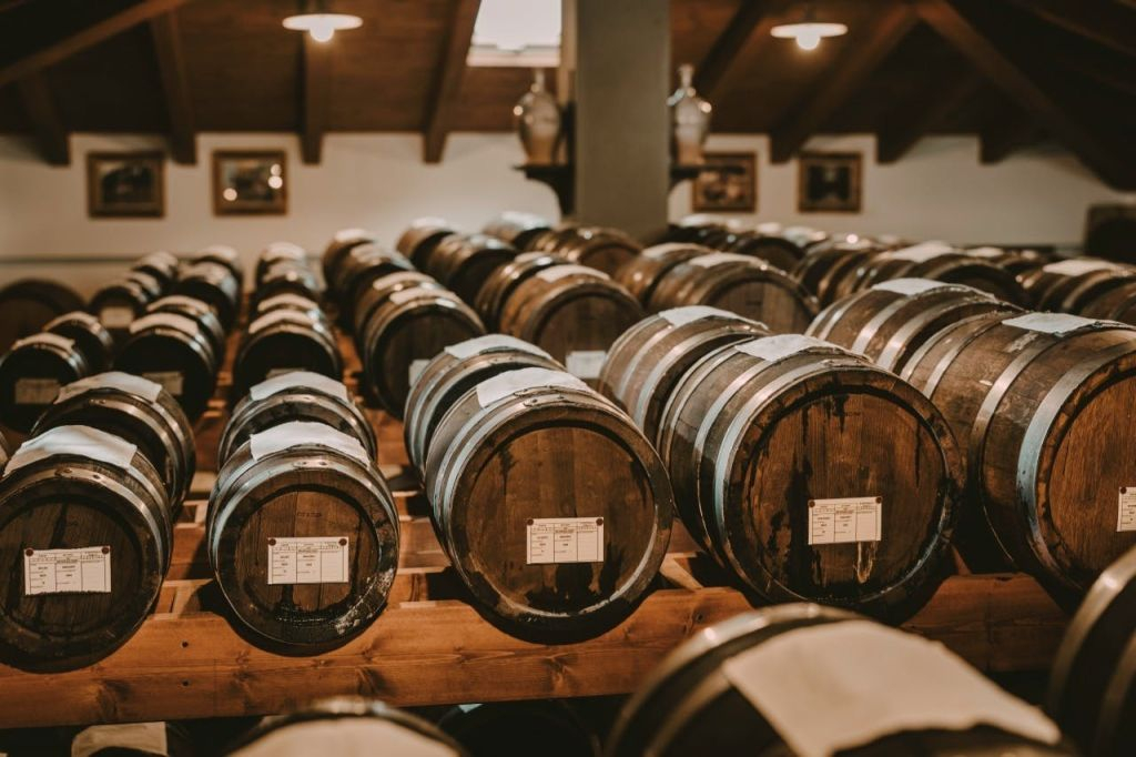 Modena: Tour guidato + Degustazione di aceto balsamico