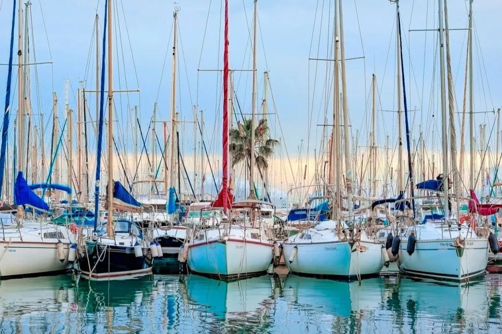 Palma de Mallorca: Excursión en barco por City Sightseeing