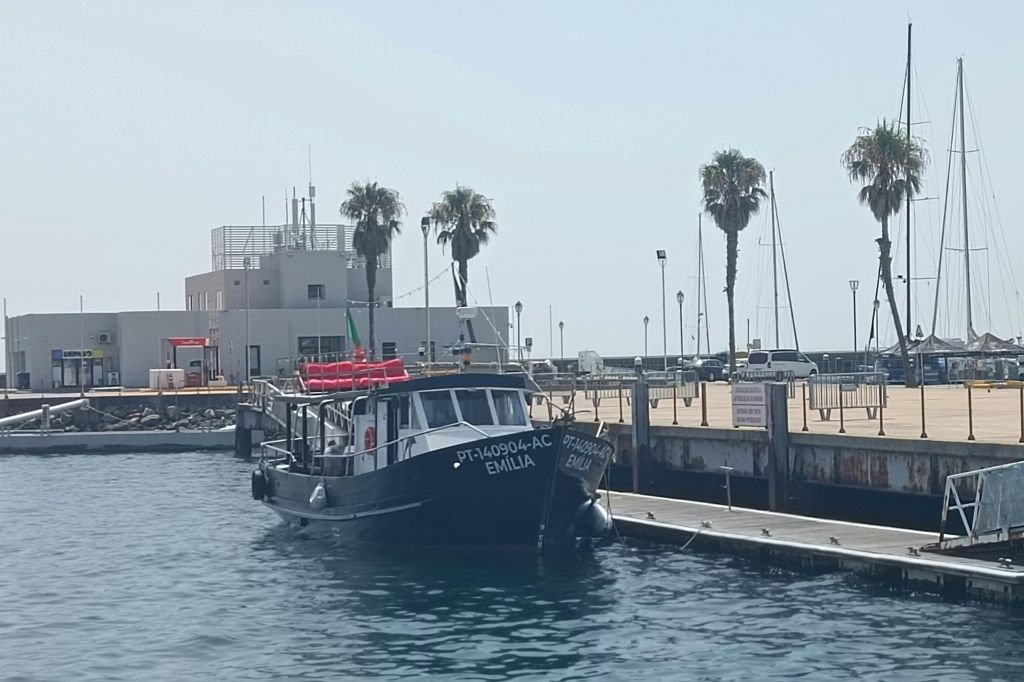 Cascais: Passeio de barco guiado + bebidas