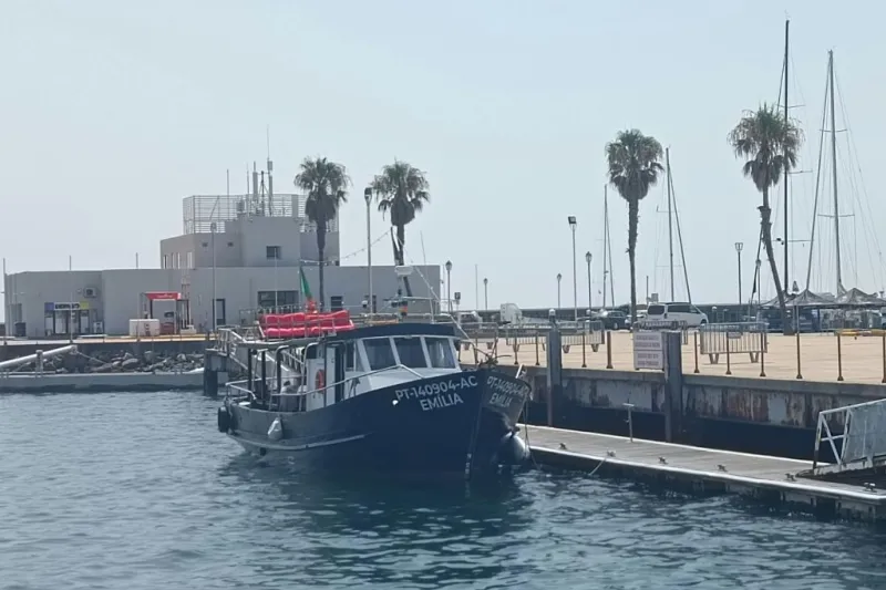 Cascais: Passeio de barco guiado + bebidas