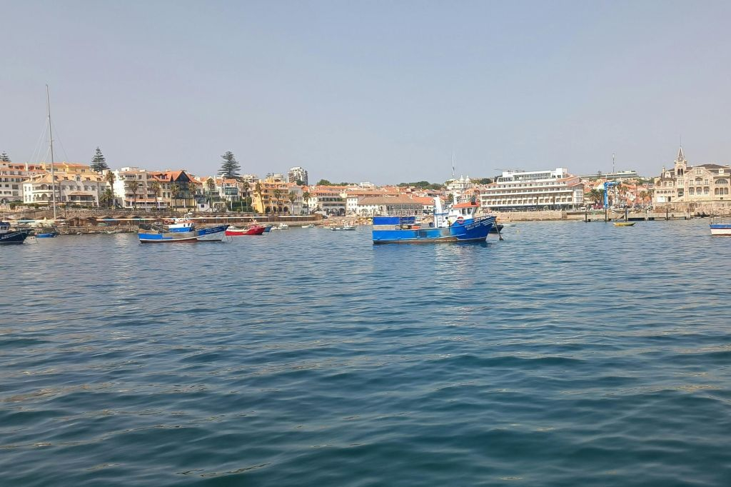 Lisbon: Guided Sunset Cruise from Cascais + Open Bar