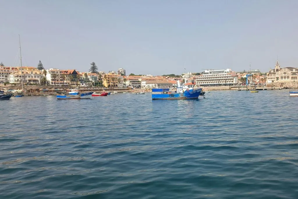 Lisbon: Guided Sunset Cruise from Cascais + Open Bar