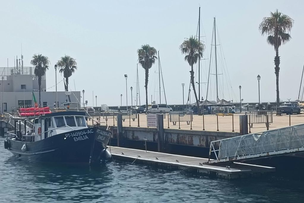 Lisbon: Guided Sunset Cruise from Cascais + Open Bar