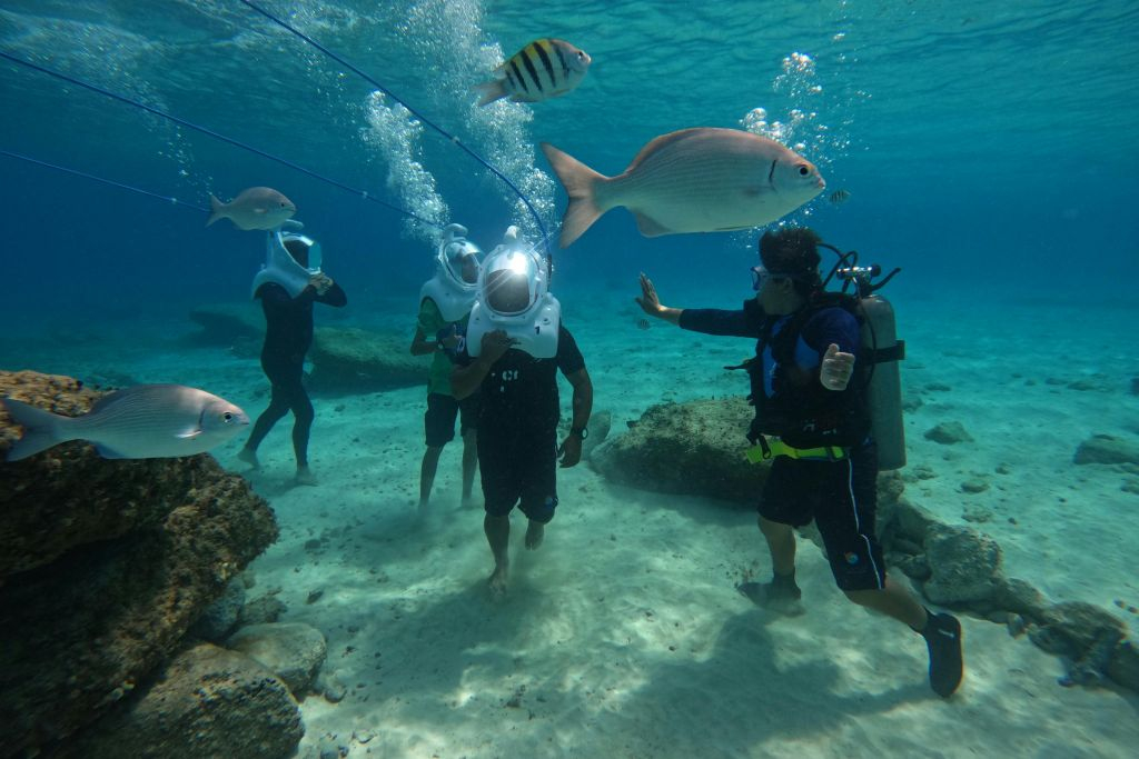 Tenerife: Experiencia guiada de senderismo submarino
