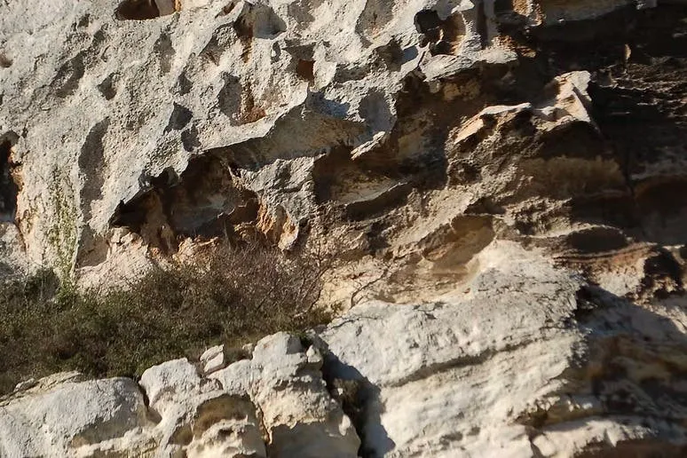 Parc Naturel Régional des Alpilles : Visite guidée depuis Arles