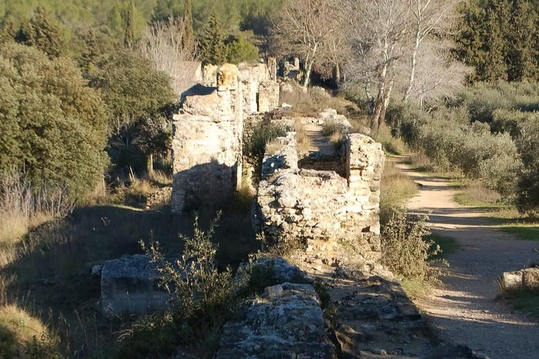 Parc Naturel Régional des Alpilles : Visite guidée depuis Arles