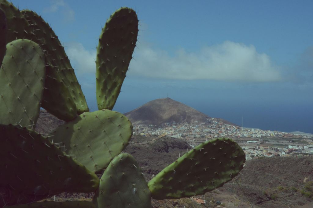Gran Canaria: Day Tour from Las Palmas + Lunch + Wine Tasting + Transfers