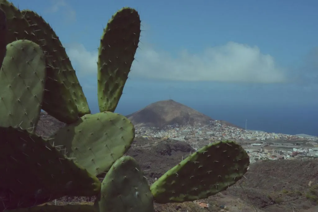 Gran Canaria: Excursión de un día desde Las Palmas + Almuerzo + Cata de vinos + Traslados