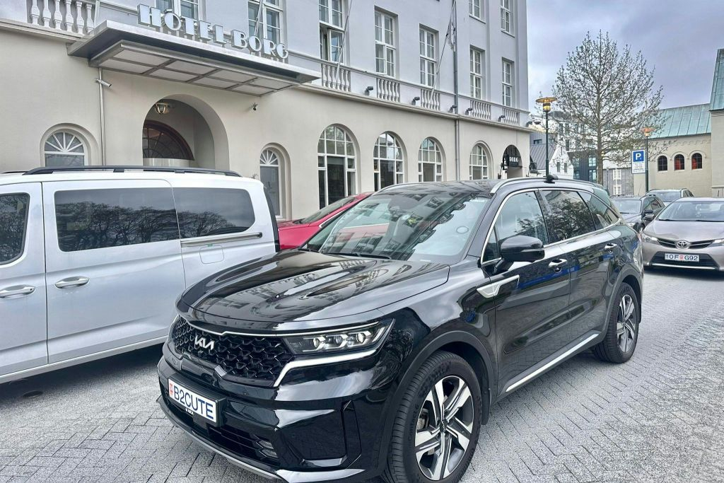 Reykjavik: Transfer Privado do Terminal de Cruzeiros de Skarfabakki para o Aeroporto de Keflavik