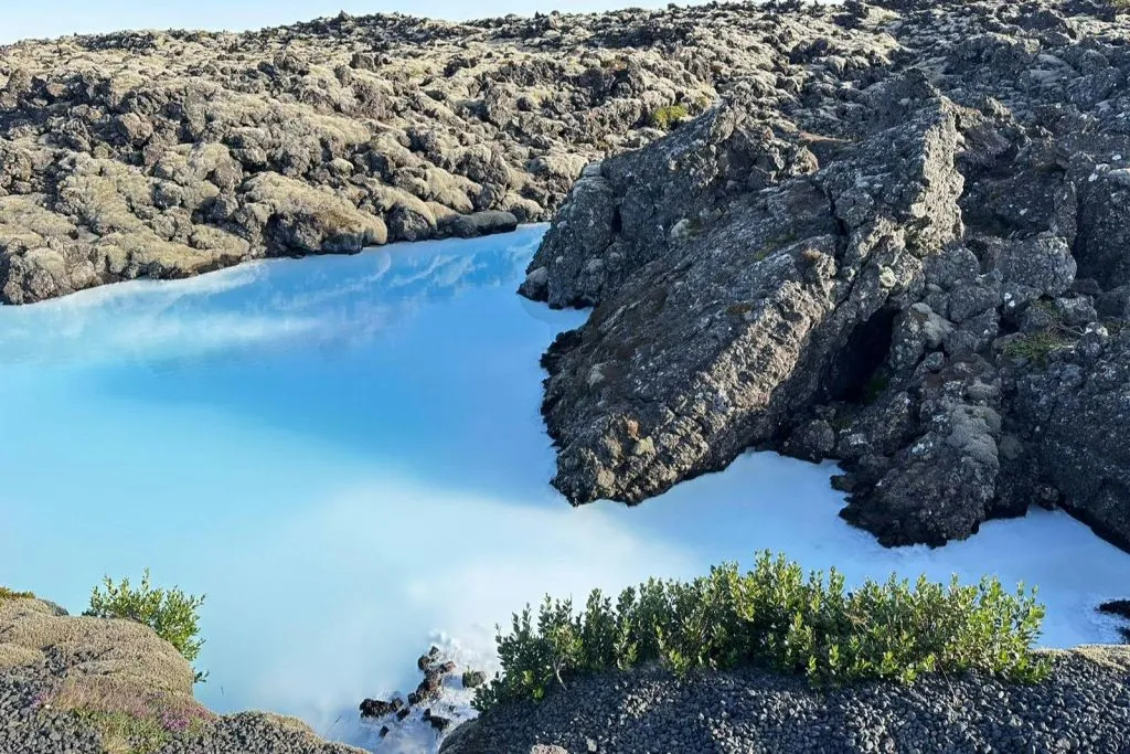 Blue Lagoon: Private Transfer from Reykjavik