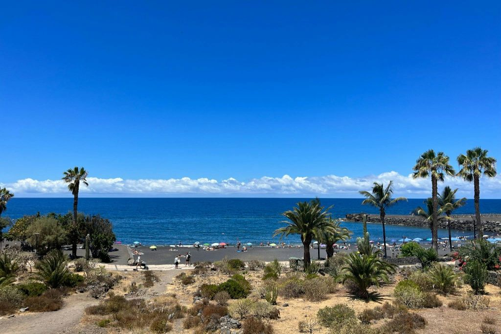 Puerto de la Cruz: Excursión de día completo + Traslado de ida y vuelta