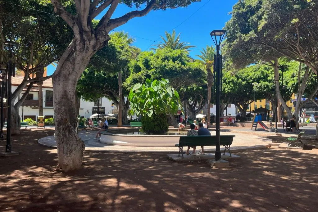 Puerto de la Cruz: Excursión de día completo + Traslado de ida y vuelta