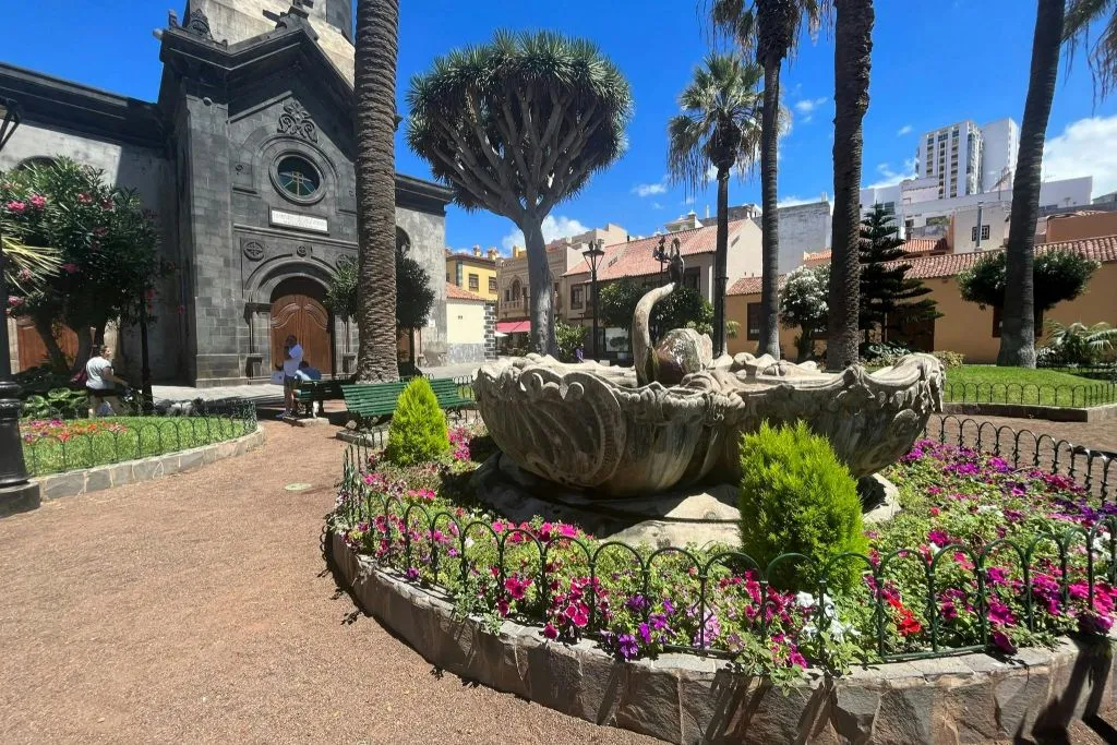 Puerto de la Cruz: Excursión de día completo + Traslado de ida y vuelta