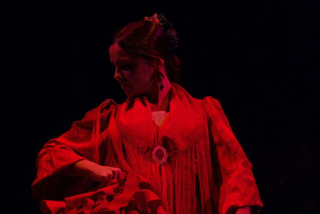 Flamenco Laietana Barcelona: Flamenco Show