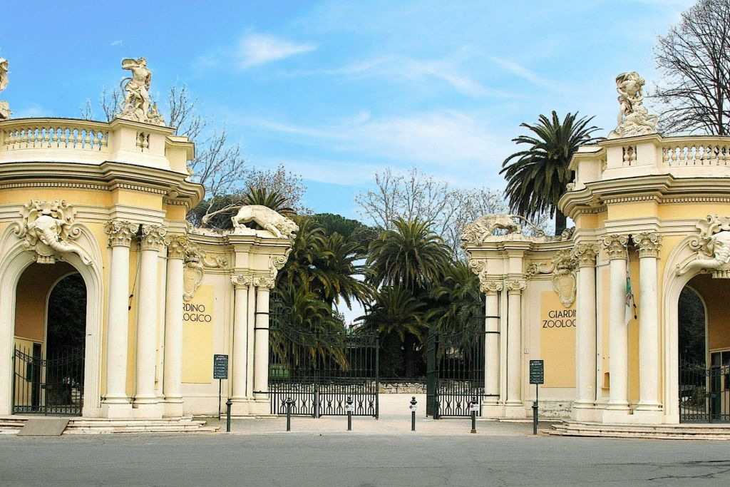 Bioparco di Roma: Biglietto d'ingresso + Panino