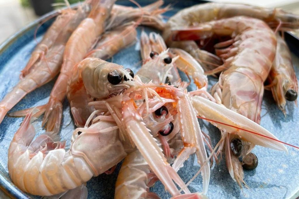 Emilia-Romagna: Corso di cucina di pesce + pranzo o cena + bevande