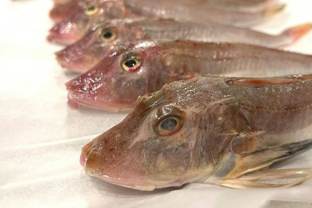 Emilia-Romagna: Corso di cucina di pesce + pranzo o cena + bevande