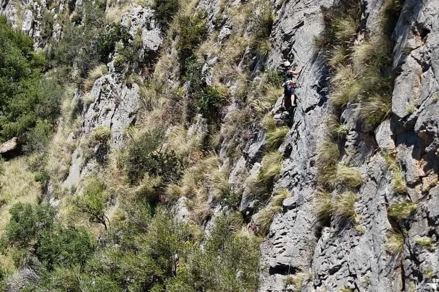 Mondello: Avventura di arrampicata su roccia + trasferimento di andata e ritorno