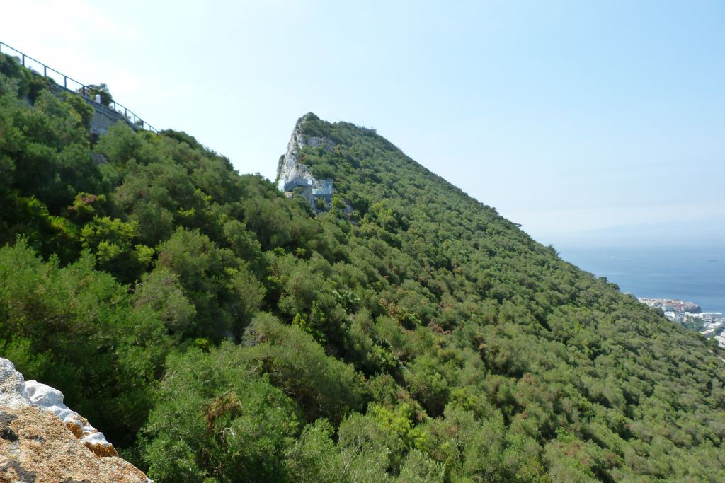 Desde Málaga: Excursión de un día a Gibraltar