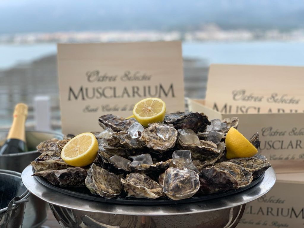 Musclarium : Route des fermes de moules