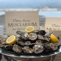 Musclarium: Route of the Mussel Farms