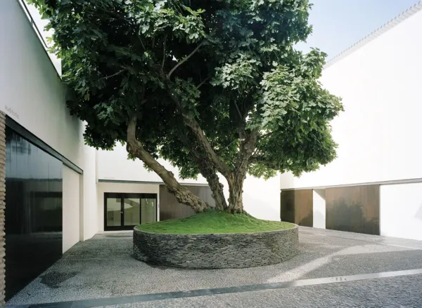Museo Picasso Málaga: tour guiado