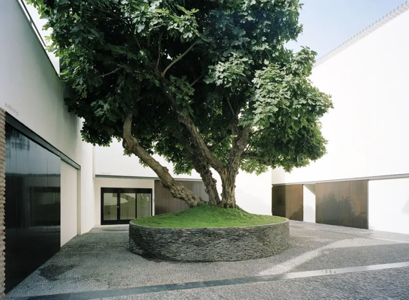 Museo Picasso Málaga: tour guiado
