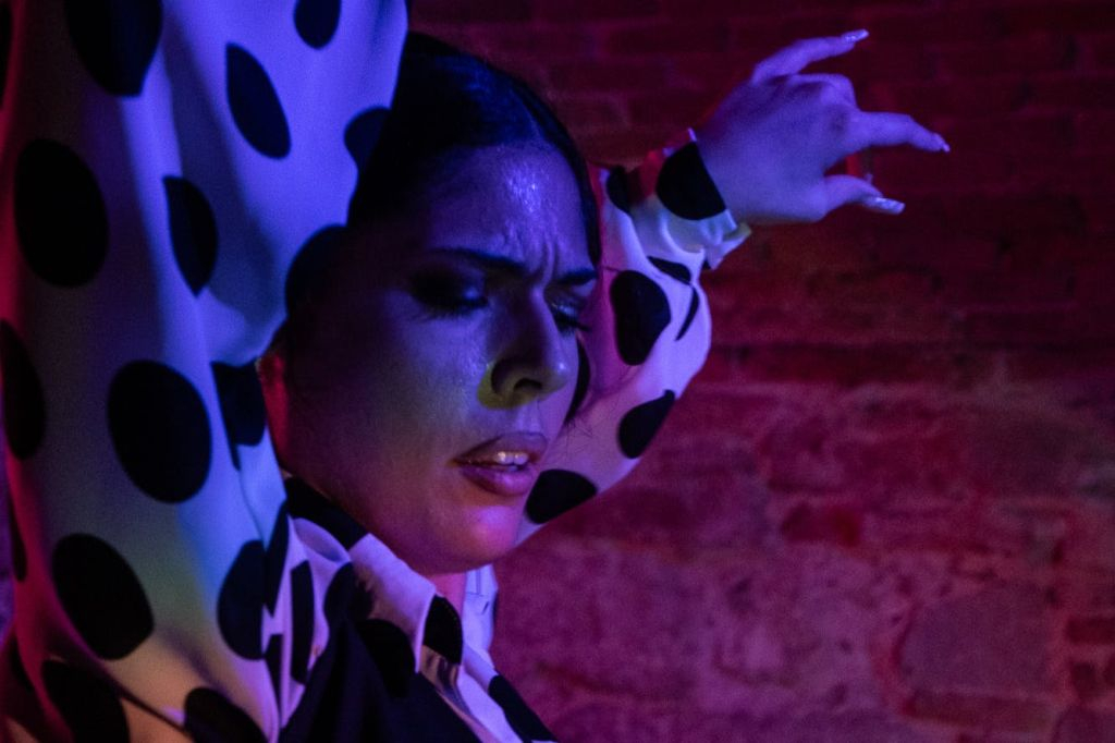Las Brujas Flamenco Club: Show Entry