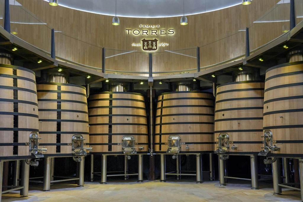 Torres Winery: Guided Tour + Wine & Tapas Pairing